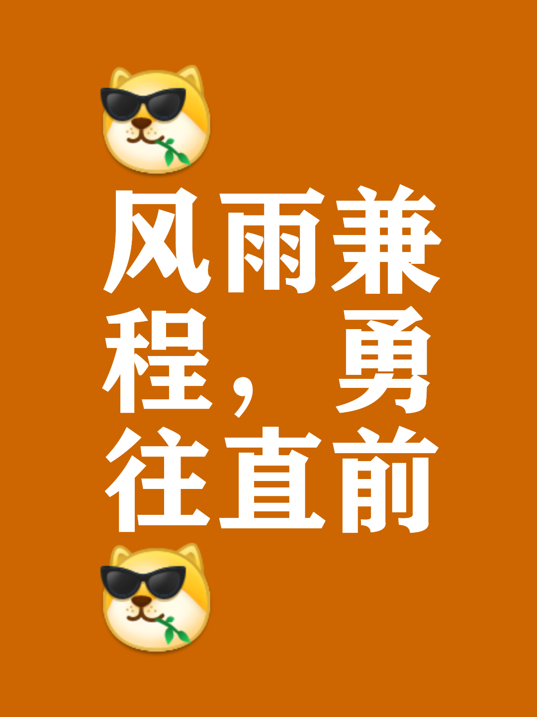 风雨兼程，汗水浸透每一寸土地