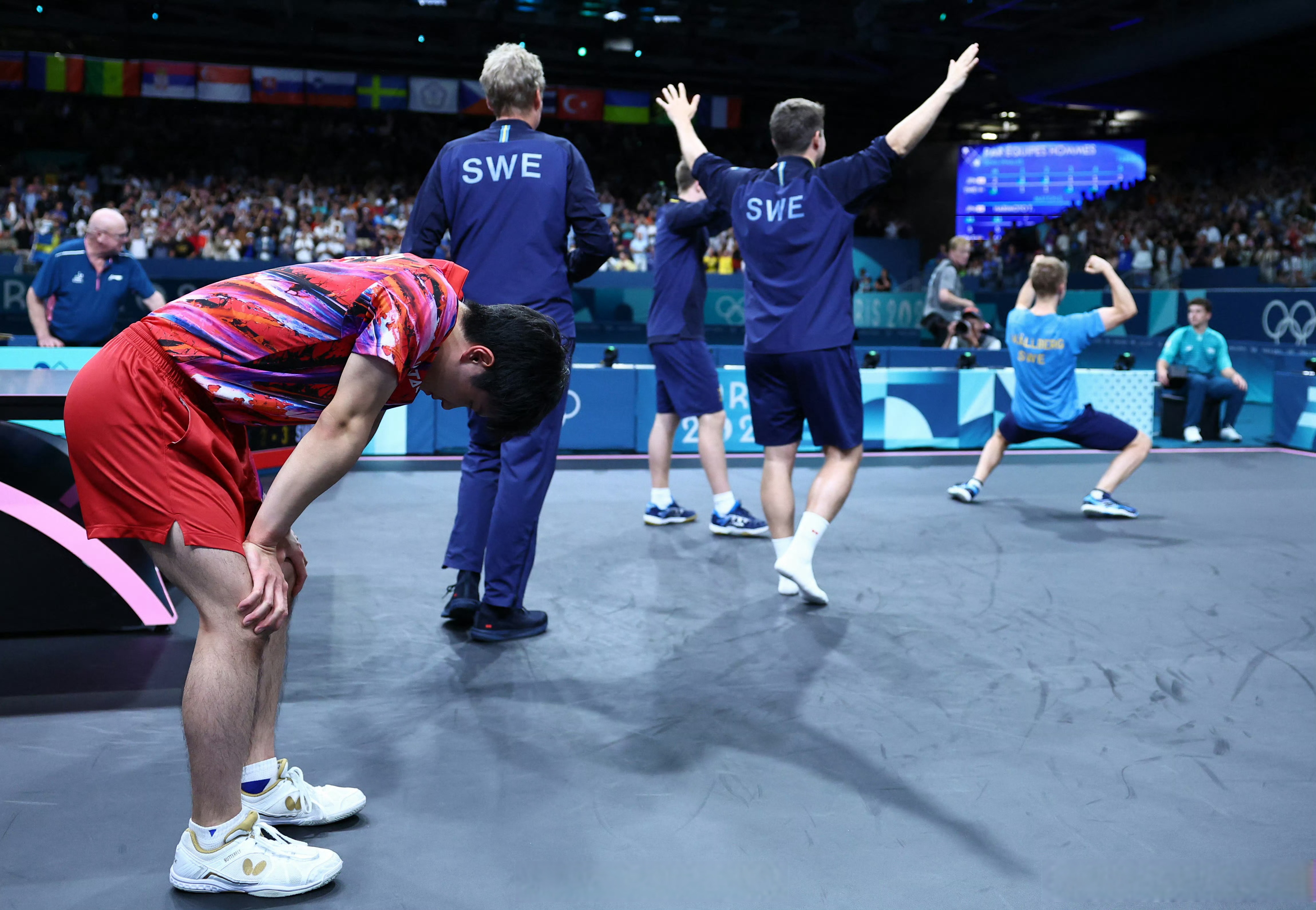 包含奥地利队翻盘瑞典队，张本智和状态火热的词条