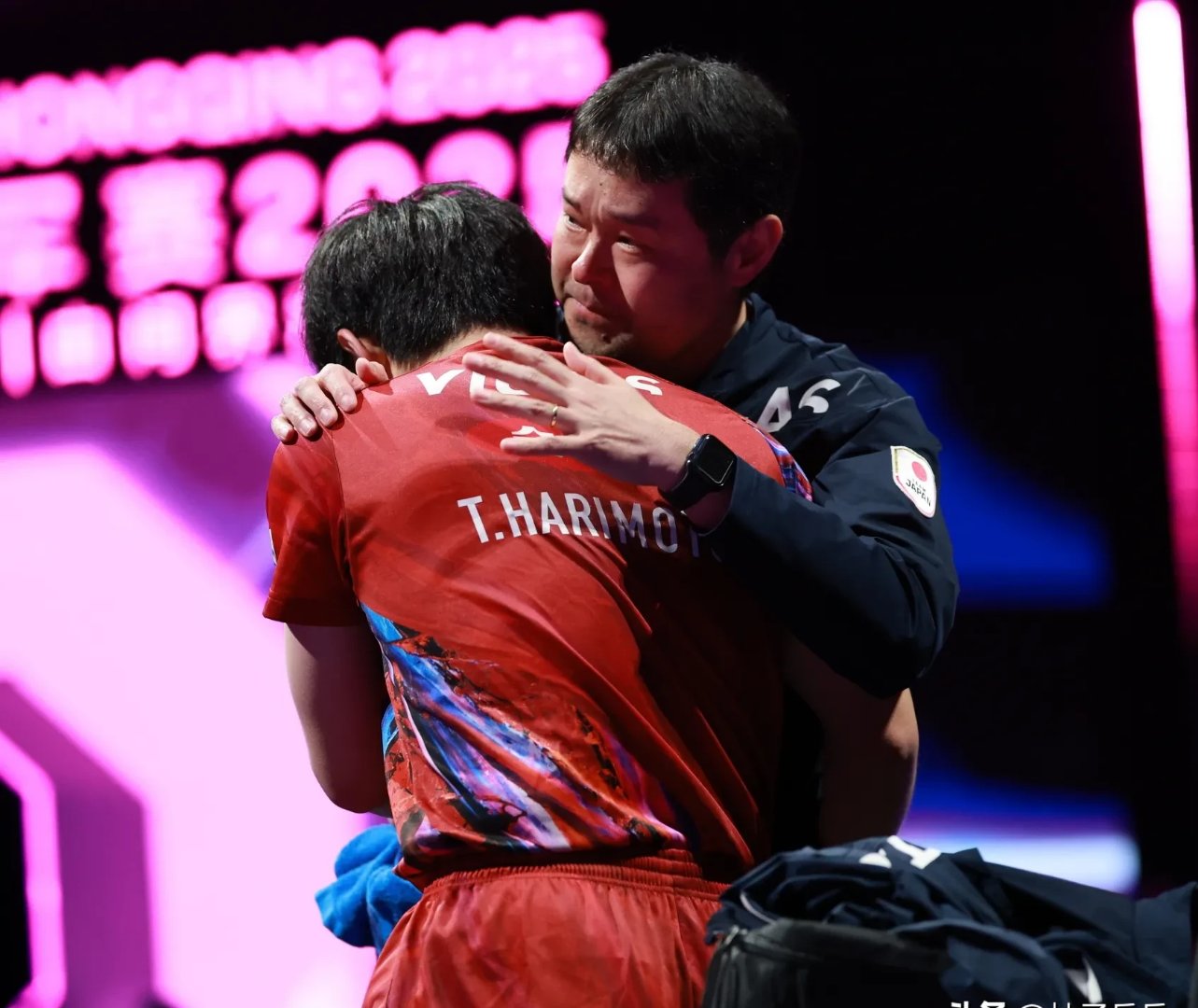 包含奥地利队翻盘瑞典队，张本智和状态火热的词条