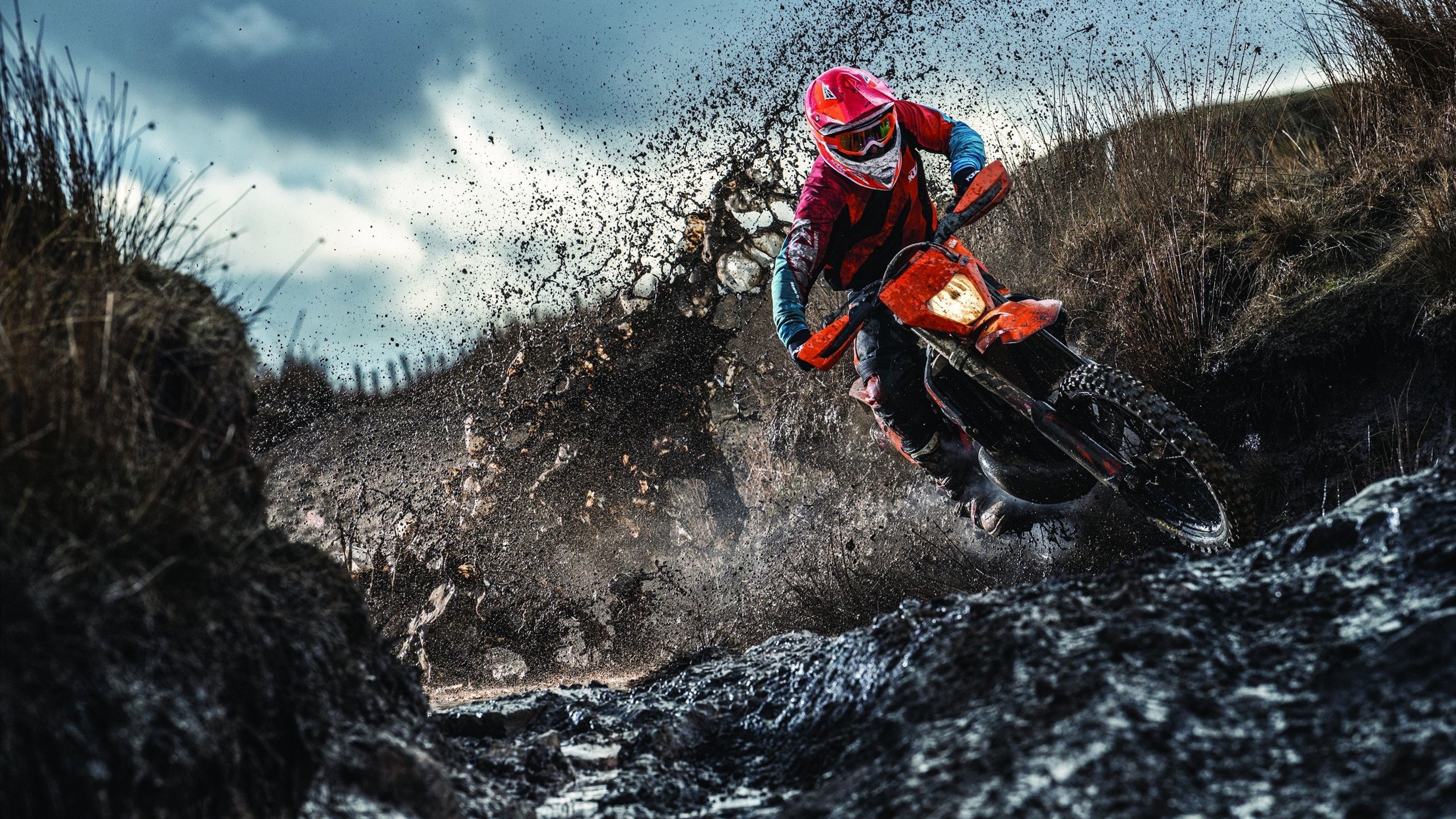 昔日巨人觉醒，威廉姆斯奇迹夜颠覆围场秩序